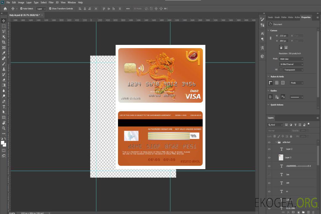 Carte visa bancaire Bhoutan Druk PNB template